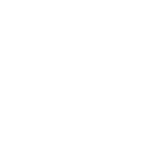 numero 1.webp