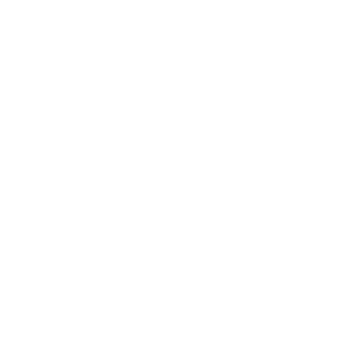 numero 4.webp